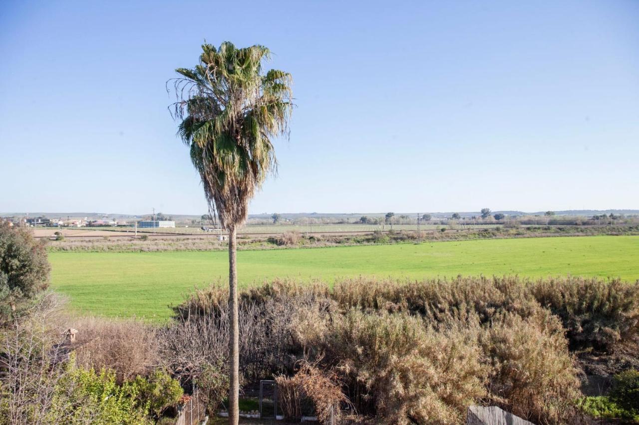 Casa Rural La Palmera Almodóvar del Río 외부 사진