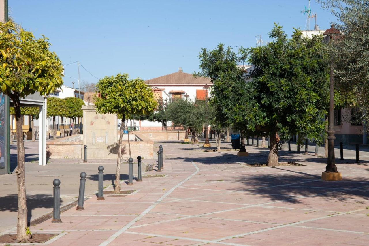 Casa Rural La Palmera Almodóvar del Río 외부 사진